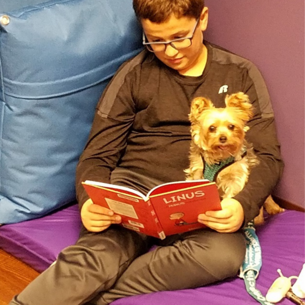 Image for event: Dog Tales - Read to a Canine Buddy