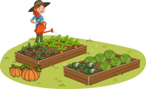 Image for event: How does your garden grow?
