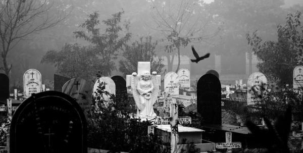 spooky black and white image of a cemetery
